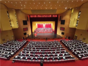 两会声音｜魏建平市长：“持续推进河南zoty中欧·(中国)体育官方网站起重生态产业链*进制造业示范优势”